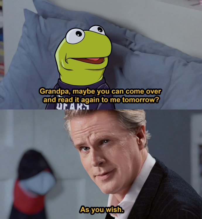 The end of The Princess Bride, with Kermit  as the grandchild and Cary Elwes as the  grandfather.